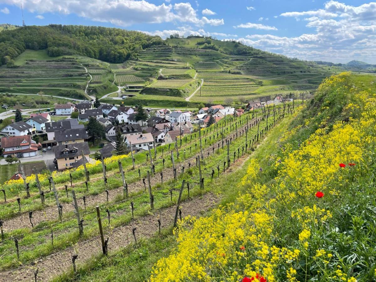 Weingut & Strausswirtschaft Vogel Lejlighed Vogtsburg Eksteriør billede