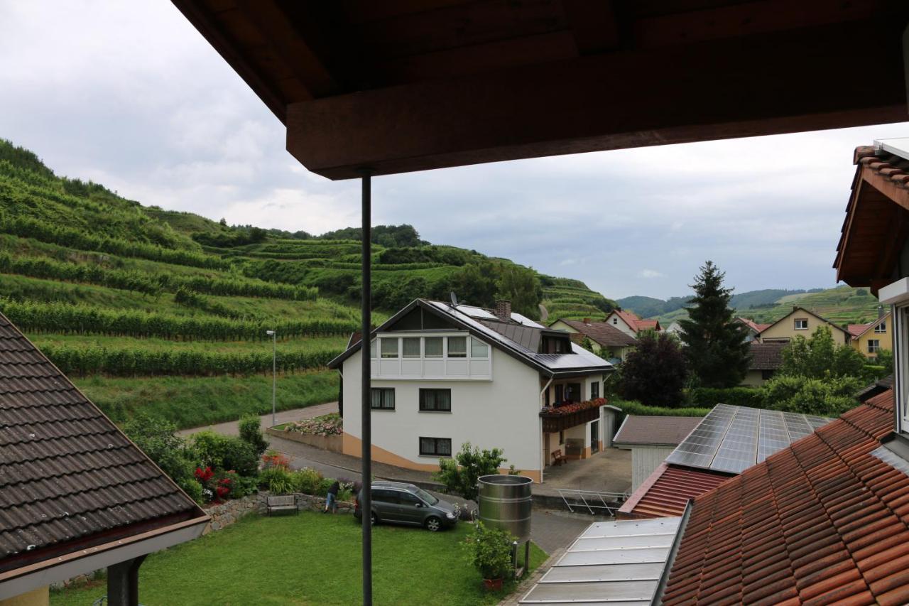 Weingut & Strausswirtschaft Vogel Lejlighed Vogtsburg Eksteriør billede