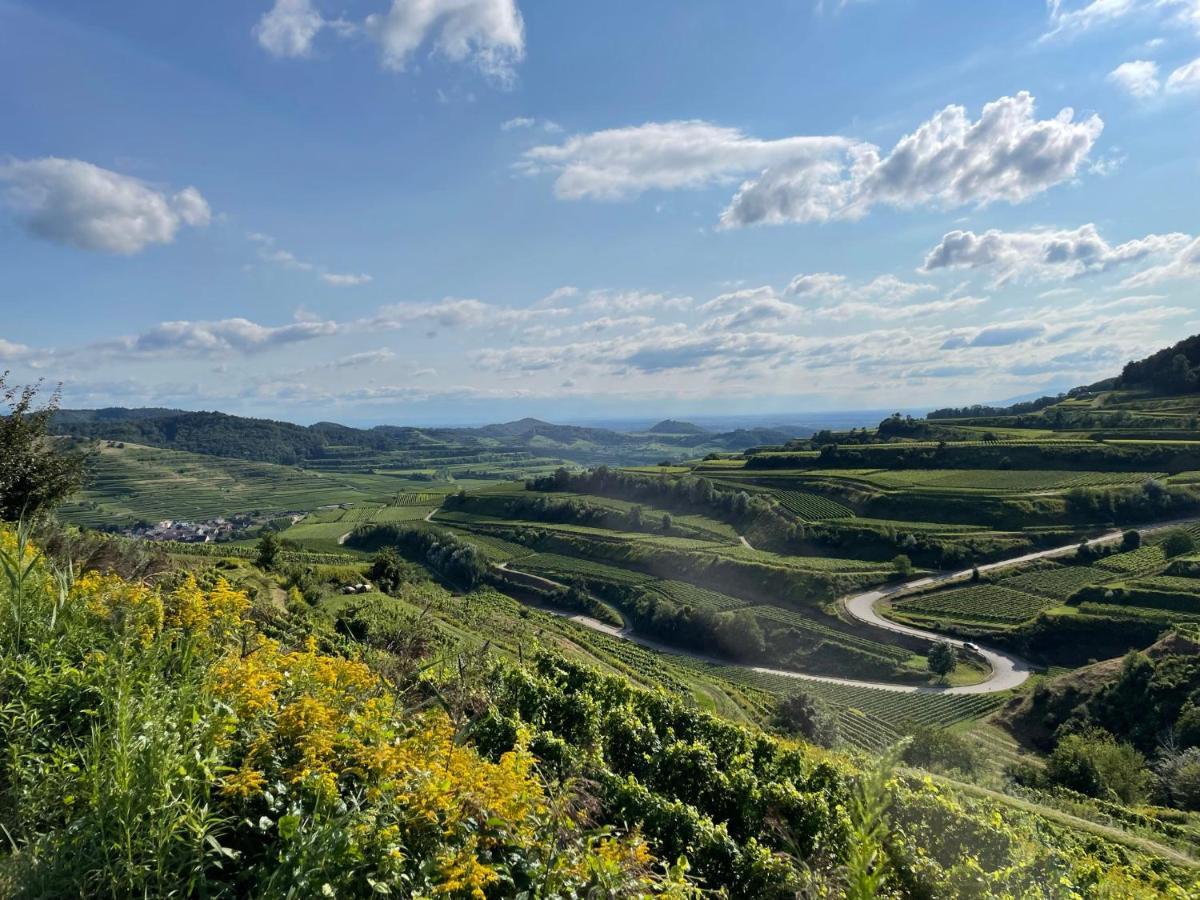 Weingut & Strausswirtschaft Vogel Lejlighed Vogtsburg Eksteriør billede