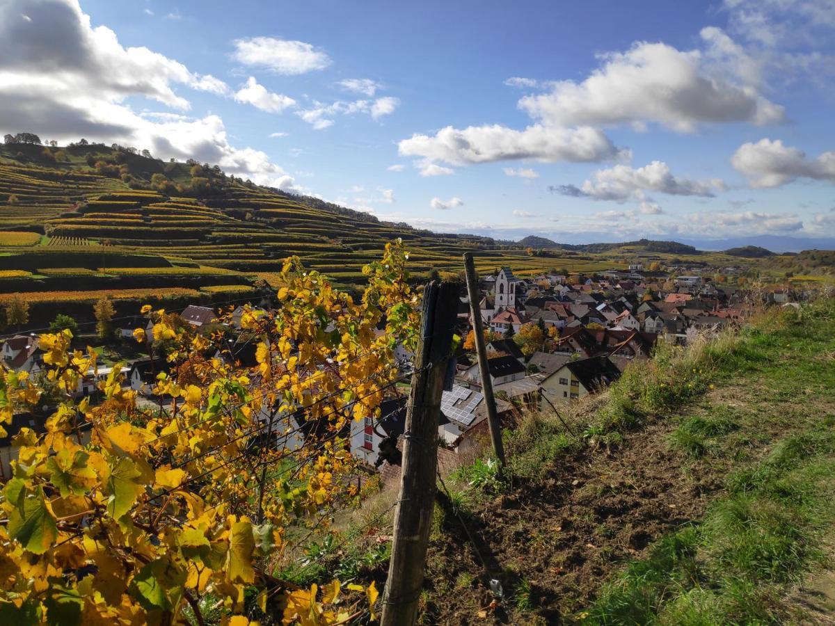 Weingut & Strausswirtschaft Vogel Lejlighed Vogtsburg Eksteriør billede