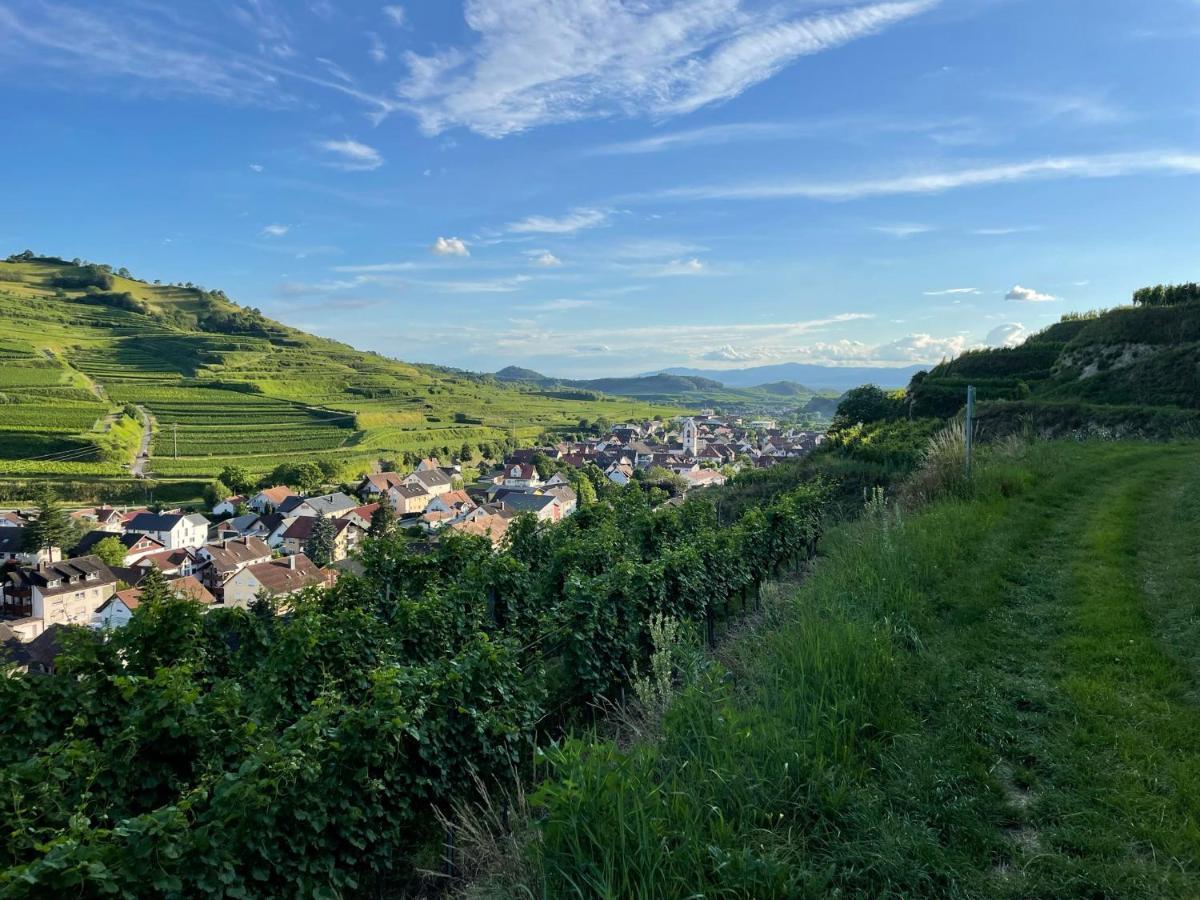 Weingut & Strausswirtschaft Vogel Lejlighed Vogtsburg Eksteriør billede