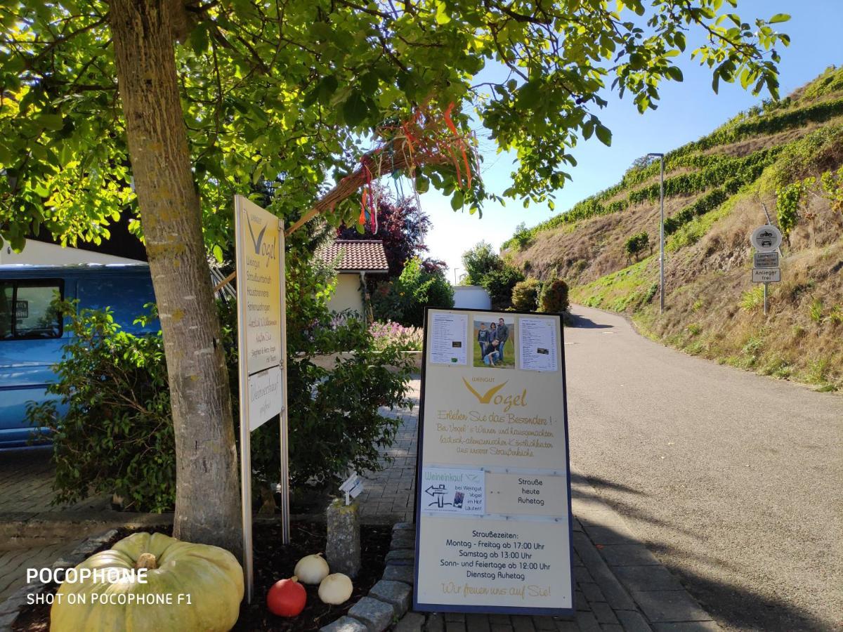 Weingut & Strausswirtschaft Vogel Lejlighed Vogtsburg Eksteriør billede