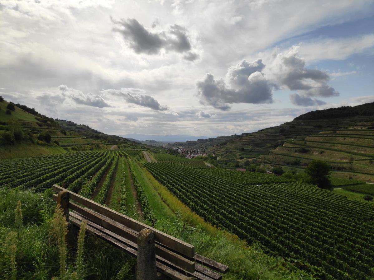 Weingut & Strausswirtschaft Vogel Lejlighed Vogtsburg Eksteriør billede
