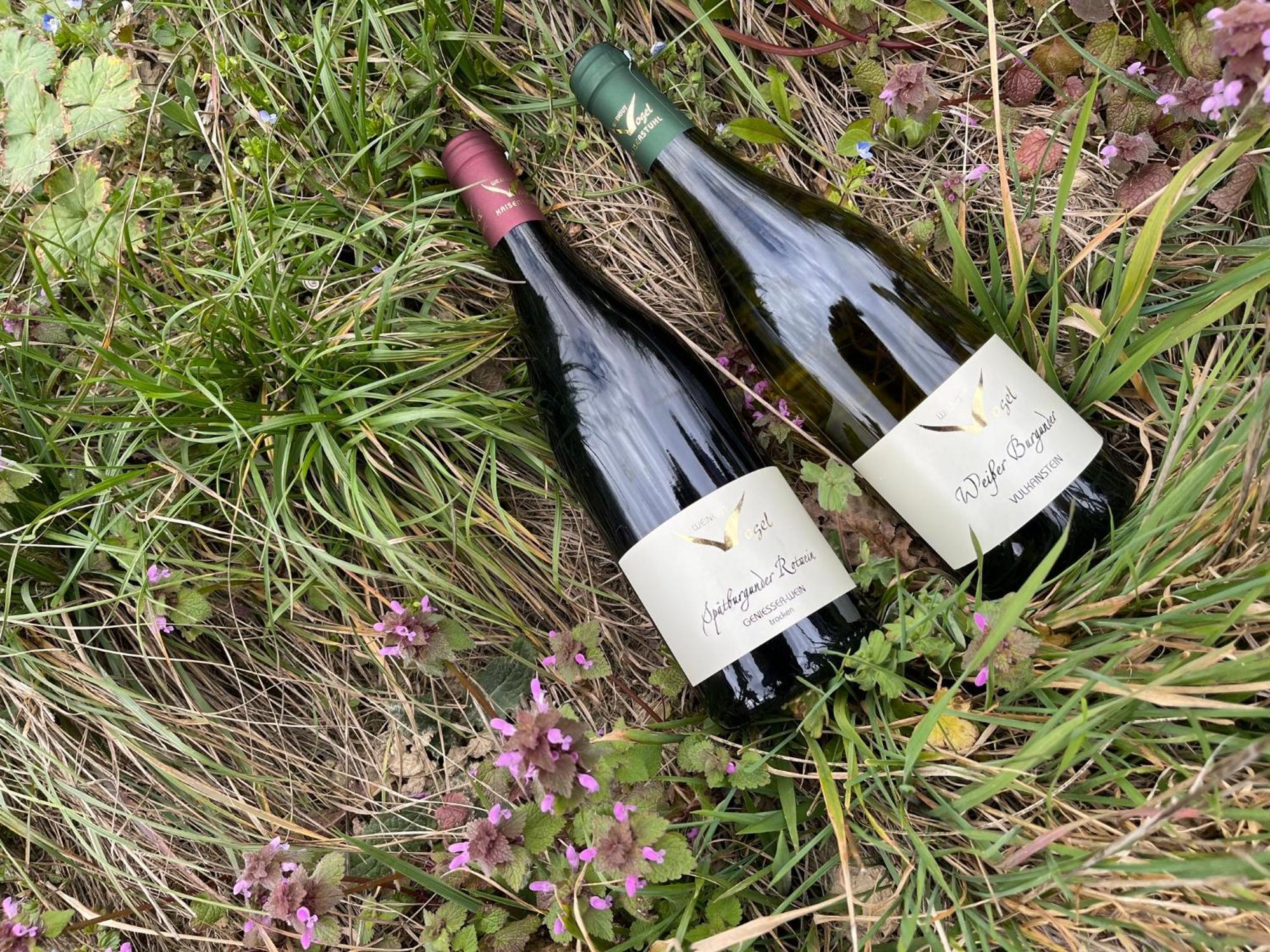 Weingut & Strausswirtschaft Vogel Lejlighed Vogtsburg Eksteriør billede