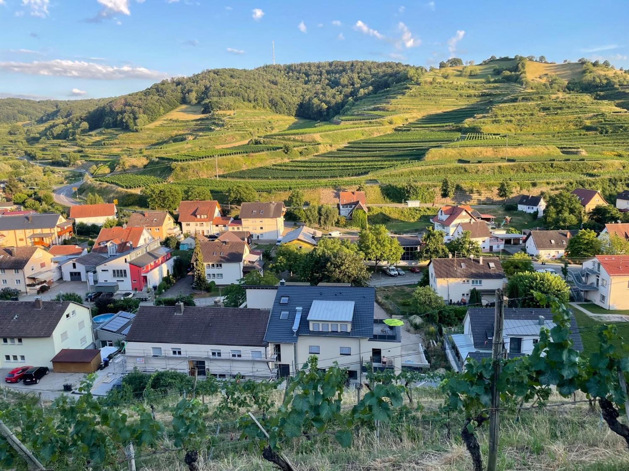 Weingut & Strausswirtschaft Vogel Lejlighed Vogtsburg Eksteriør billede